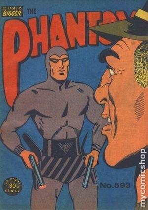Cover 0593