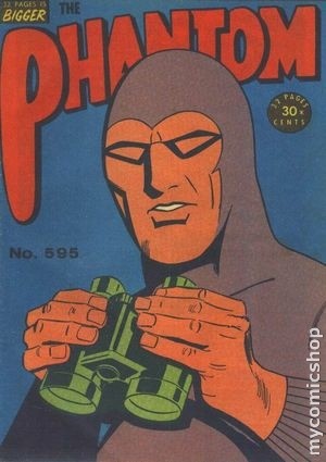 Cover 0595